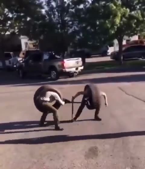 THE BATTLE IS ON GOING!