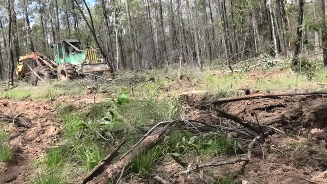 skidder in mud qld , australia