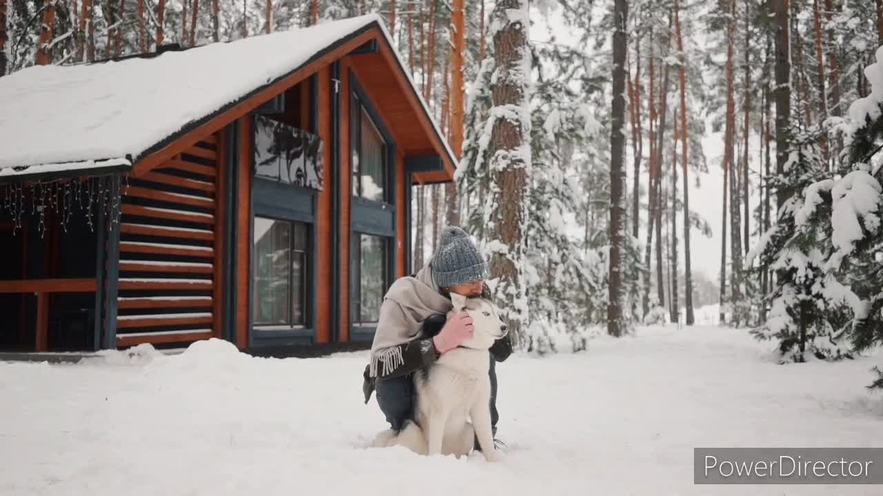 Very cute dog on the video. He is playing with his couple owner.