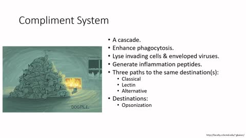 F21 Lecture 18 - CHapter 15 last three slides