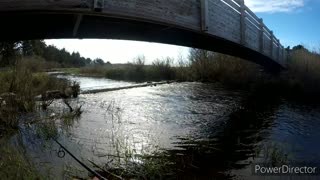 Catching some early spring cutthroat Trout