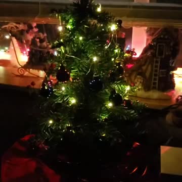 Mini Christmas tree