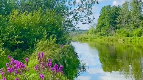 Beautiful view | Morning view | Lake view | #view #nature