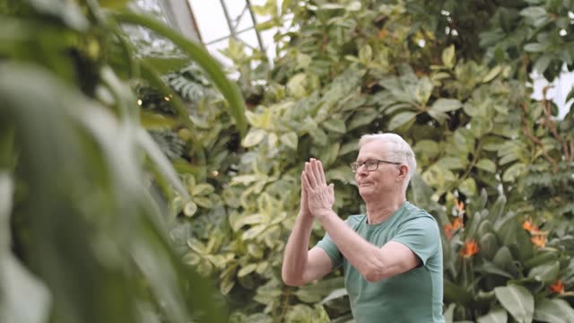 Man Doing Yoga in a Botanical Garden