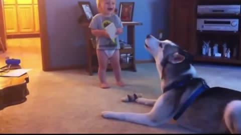 Most beautiful baby, teaching the dog! Funny!