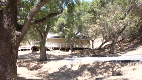 Magnificent Private Compound in Los Altos Hills California