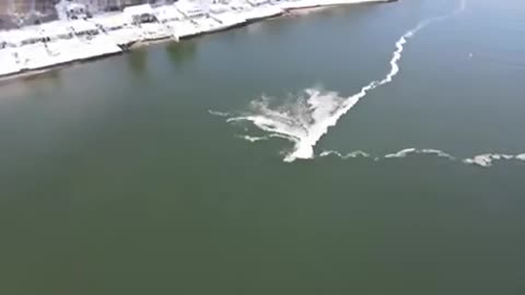 It was cold enough today in Washington that ice trails started to form on top of the saltwater.