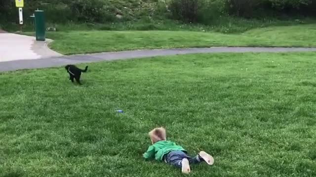 Collab copyright protection - baby chases black puppy trips