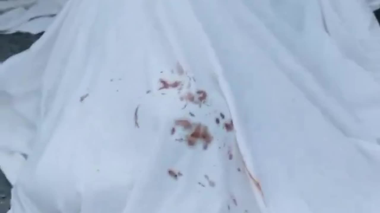 Not What I Was Expecting