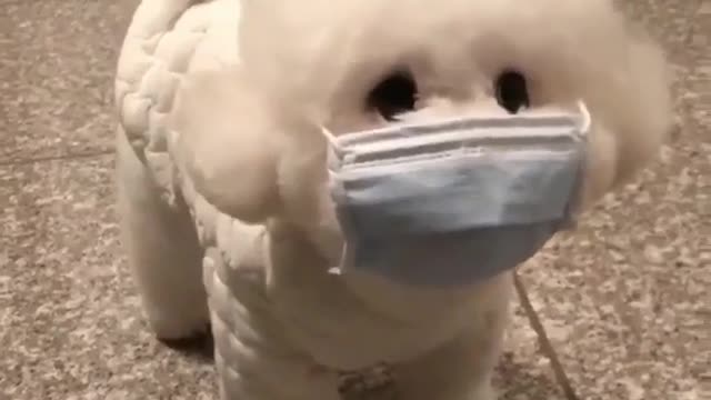 Hi man, use the mask