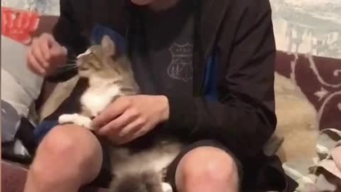 Guy plays with cat.