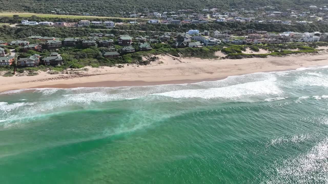Whale Calf 03102022