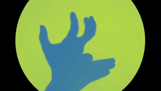 hand shadow play