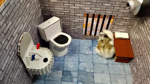 Hamster escapes the awesome maze for pets in real life