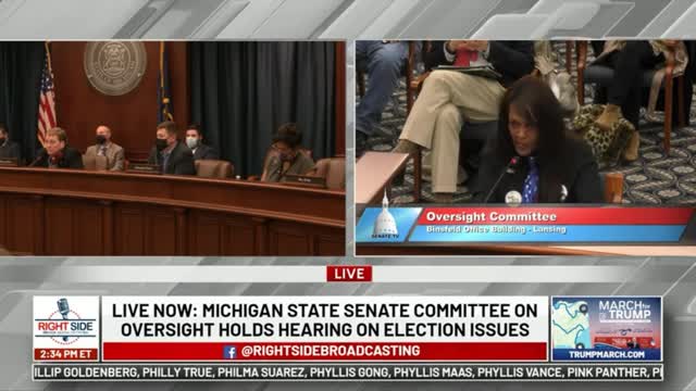 Michigan Election Hearing - Clip 1