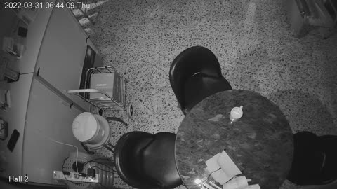 hallmid midnight 20220331