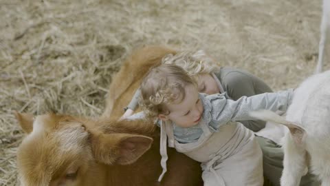 little-girls-hugging-a-cattle