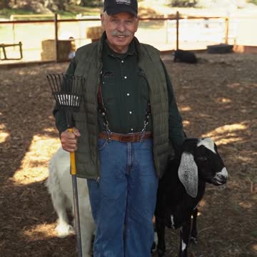 Most Funny and Cute Baby Goat Videos Compilation