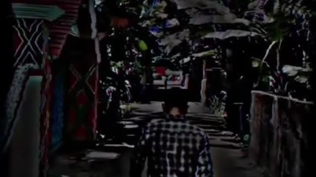 Status video