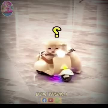 New Funny Videos 2023 😍 Cutest Cats bike rider