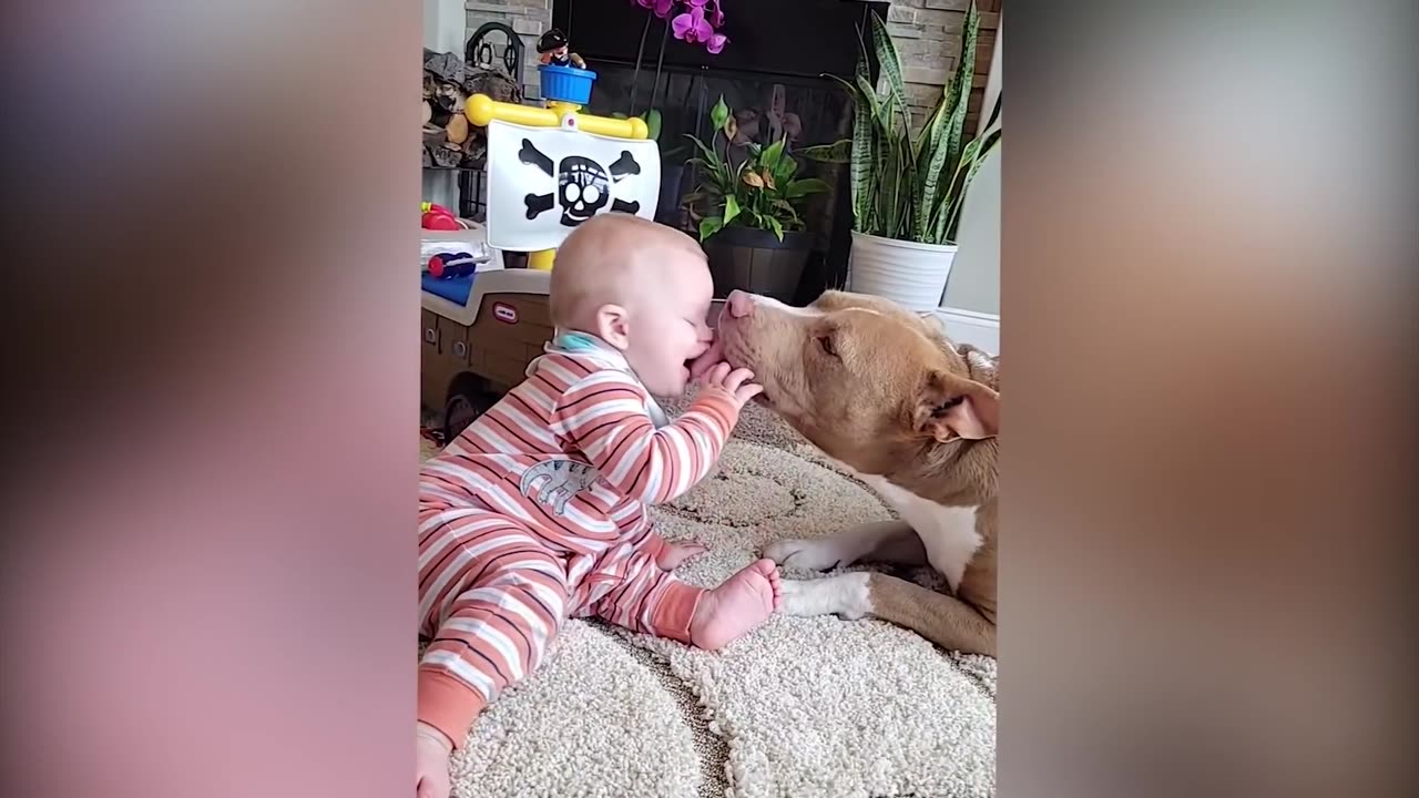 Cutest Babies Play With Dogs And Cats Compilation