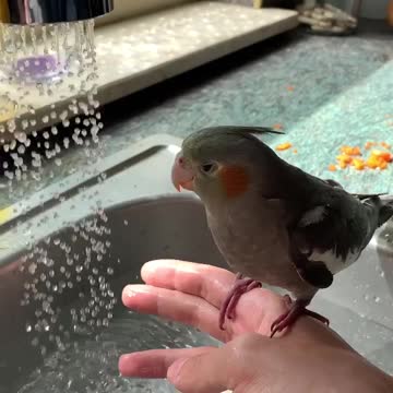 Cocktail bath with a little water 🌧 😌😊