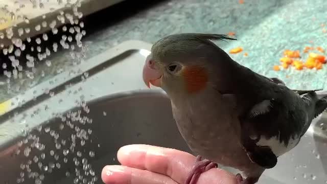 Cocktail bath with a little water 🌧 😌😊