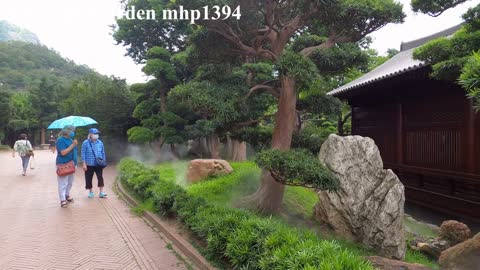 [禪意靜心] 南蓮園池 Nan Lian Garden, mhp1394, May 2021