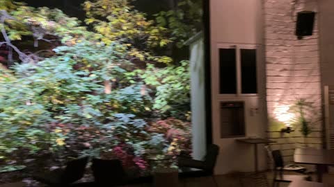 Coffee shop taken on an autumn night