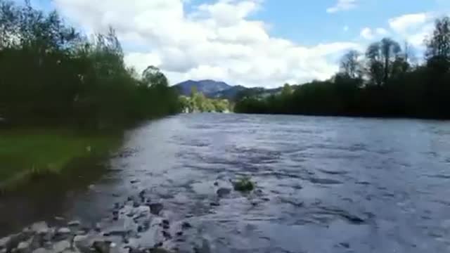 River overview - sky - forest relaxing