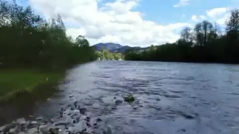 River overview - sky - forest relaxing