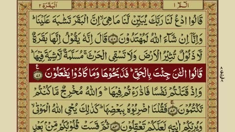 Quran-Para 01/30-Urdu Translation