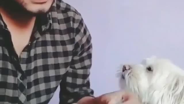 Funny boy with dog