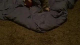 Baby attack