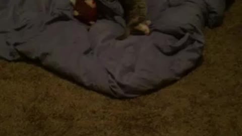 Baby attack