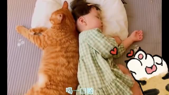 cute kitten