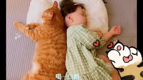 cute kitten