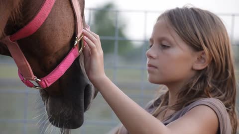 girl brushing her horse