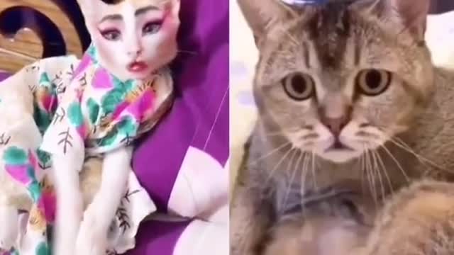 Cat reaction cat makeup Compilation Funny Video 2021 😍😂🤣