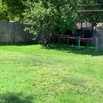 Squirrel treat for Kallie? I freaked out.