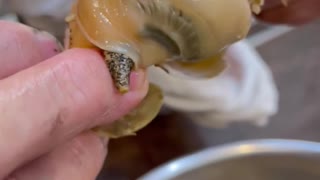 Eating snails in japan