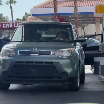 Best thing you’ll see today