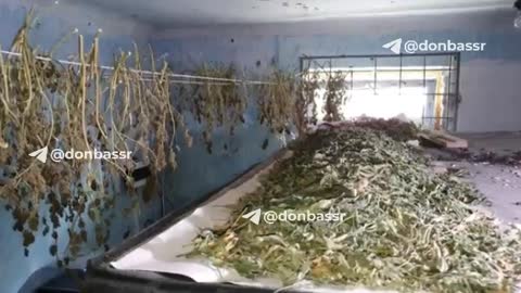 Near Severdonetsk - The Russian Army Found A Drug Lab