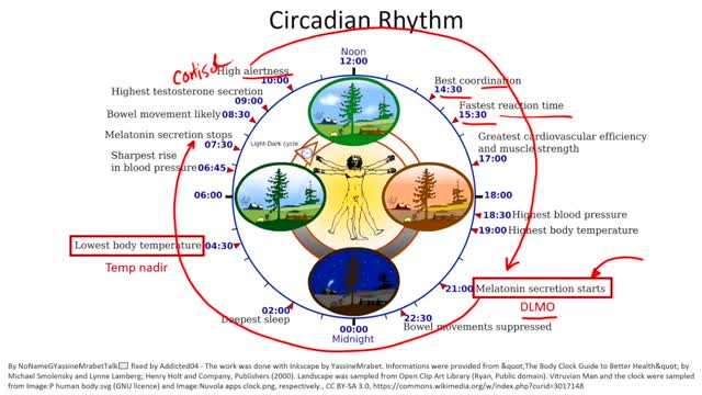 Sunlight: Optimize Health and Immunity (Light Therapy and Melatonin)