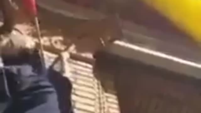 The Poles are getting impatient. They start tearing down Ukrainian flags in their cities.