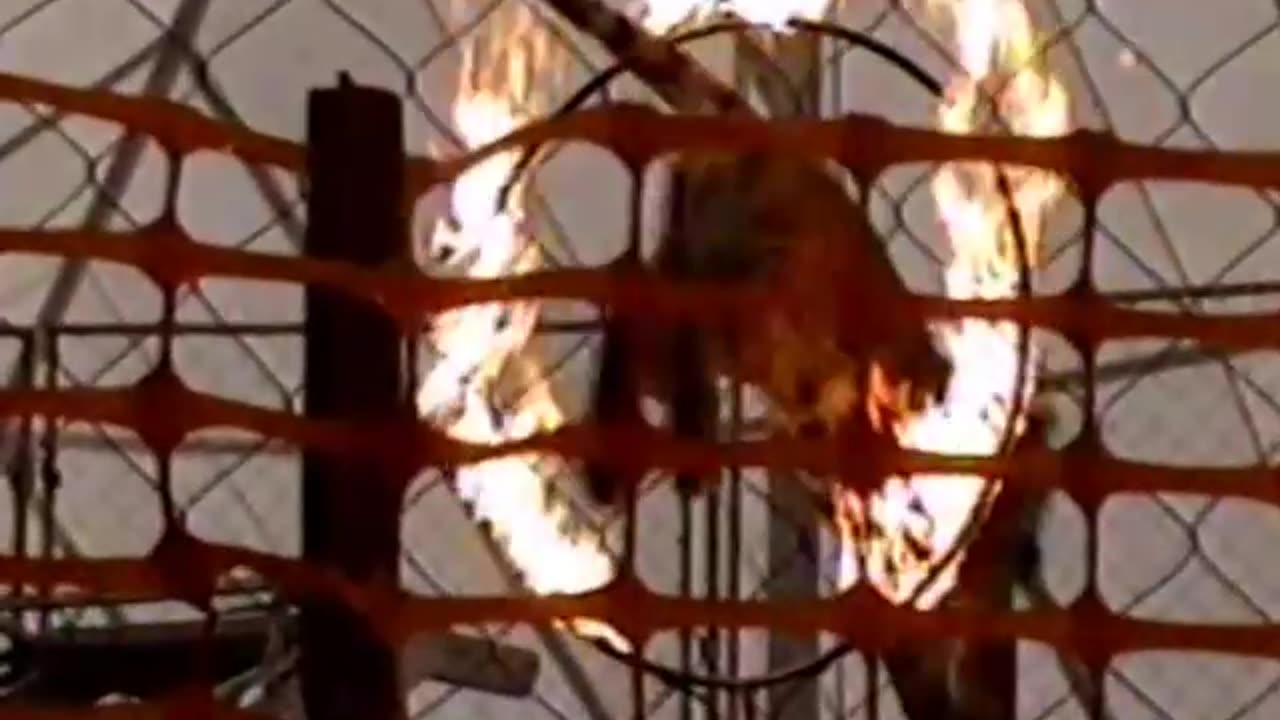 The Virginia State Fair 9/24/93