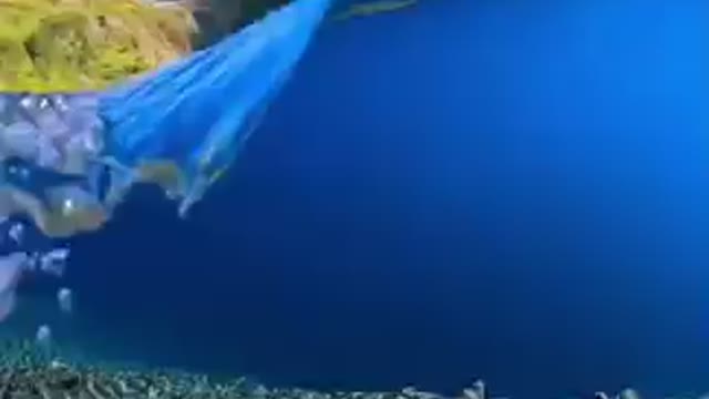If you're in a bad mood, come and see, my friend.