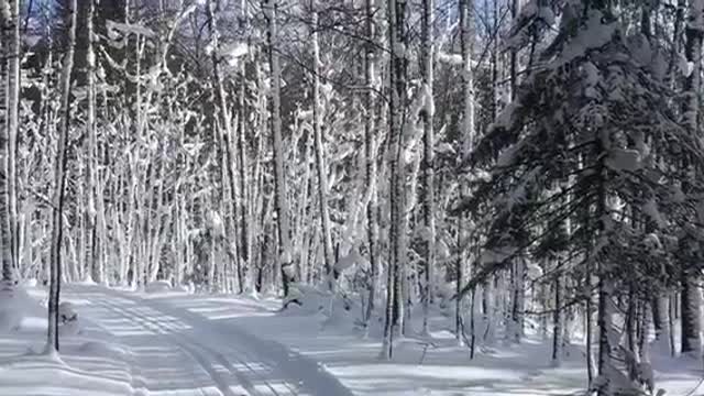 WAS “Out In The Country" by 3 Dog Night written for Nordic Skiing?