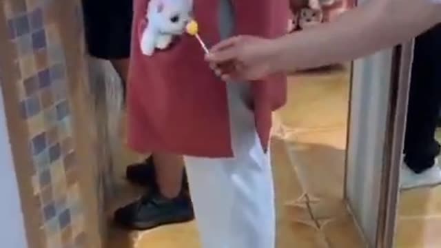 Like For pets ❤️ #shorts #dogs