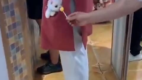 Like For pets ❤️ #shorts #dogs